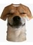 Summer Tops Street Tees Komik Köpek Yüz 3D Baskı T-Shirt Serin Hayvan Grafik Ekibi Boyun Kısa Kollu Gündelik Moda Erkek Tişört Renk: ETA6F24241B8/BOYUT (Yurt Dışından) 1