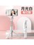 Handheld Tiktok Canlı Masa Mountcolor Için Dolgu Işığı ve Tripod Standı ile Uzatılabilir 1m Bluetooth Selfie Stick: Fotoğraf Pembesi (Yurt Dışından) 1