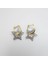 Yıldız Bayan Gümüş Küpe Gold Double Color 2