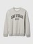 Erkek Gri Gap Logo Grafikli Relaxed Fleece Sweatshirt 2