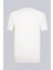 Taş Regular Fit Bisiklet Yaka Rayon Tişört 1