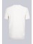 Taş Regular Fit Bisiklet Yaka Rayon Tişört 2