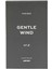 Parfüm Gentle Wind 100 ml 2