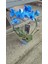 Açık Safir Mavisi – Özel Seri Mavi Phalaenopsis Orkide Saksıda Şık Dekoratif Ev Bitkisi 2