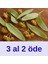 Düzce’den Ihlamur 50 gr | Katkısız, Koruyucusuz, Işınsız Bitki Çayı 1