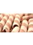 Wafers Curl Çikolata 2