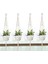4 Adet Global Home Garden Makrome Saksılık 4 Adet 1