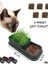 Chittoshop Kedi Çimi Kabı Topraksız 1