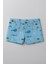 Erkek Çocuk Beli Lastikli Açık Mavi Deniz Şortu 1