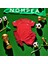 Türkiye Milli Takım Kırmızı Şortlu Çocuk Çoraplı T-Shirt Halısaha Forma 4