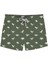 Dino Green Short 1