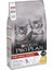 Purina Original Kitten Tavuklu Kuru Maması, 1,5 Kilogram 2