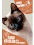 Tofu Kedi Kumu | Doğal, Topaklanan, Tozsuz, Süt Kokulu | 10 Lt / 4 kg / 2 Paket | Pati Premium 4