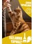 Tofu Kedi Kumu | Doğal, Topaklanan, Tozsuz, Süt Kokulu | 10 Lt / 4 kg / 2 Paket | Pati Premium 5