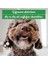Tavuk Boyun Çiğnemelik Köpek Ödül MAMASI%100 Doğal, Glutensiz, Organik 100 gr (Dog Treat) 2