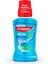 Plax Nane Ferahlığı Ağız Bakım Suyu 250 ml 1