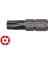 CB/809T Delikli Torx Bits Uç T25 x 25 mm 1