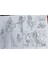 2 Adet Dev Boyama Kitabı (90CMX64CM)- (Frozen / Winx Figürlü) 4