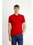 Polo Yaka Slim Fit Dar Kesim Nakışlı Süprem Pamuklu Tişört 1