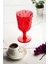 Akrilik Kırmızı Ayaklı Bardak 2
