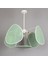 Mylamp Yeşil Bulut Doğal Hazeran 55 x 35 cm 4+1 Yaprak Avize 2