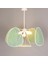 Mylamp Yeşil Bulut Doğal Hazeran 55 x 35 cm 4+1 Yaprak Avize 3