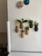 Fuzzy Mini Saksı Magnetli Set (6 Adet) 3