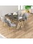 Zae Serisi 90X168 Lak Panel Antrasit İroni Gold Ayak Masa Takımı 4 Gri Sandalye 1