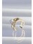 Pirinç Gold Renk Incili Ahtapot Earcuff Küpe 2