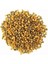 Akıllı Gübre Osmocote Exact 8-9 Aylık 15-9-12-2mgo+Te 350 Gram 2
