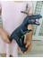 Süper Gerçekci T-Rex Figür Sesli, Yumuşak Dokunuş Büyük Boy 39 cm Dinozor Figür Oyuncak Trex 3