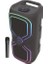 20W 3600 Mah Kablosuz Mikrofonlu Tws Bluetooth Hoparlör BTS-480 1