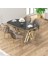 Zae Serisi 90X168 Lak Panel Siyah Mermer Desen Gold Ayak Masa Takımı 4 Cappucino Sandalye 1