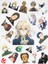Violet Evergarden Anime Telefon Laptop Bullet Journal Yapışkanlı Folyo Sticker Paketi 1