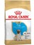 Pug Irkı Junior Yavru Köpek Maması 1,5 kg 1