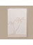 Soft Palm Breeze Kurulama Bezi - 40X60 cm 2