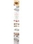 Turk Kevgir Dikdörtgen Süzgeç 304 Paslanmaz Çelik Mink Design - KRM2217-7264 2