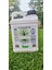 Plant Root 5 Litre 4