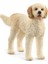 Schleich Goldendoodle 1