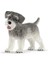 Schleich Farm World Minyatür Schnauzer 1