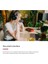 Scarlett 2ı2 Gen 4 Ses Kartı: Kayıt, Şarkı Yazma, Yayın ve Podcasting Için USB Audio 2