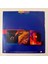 Midnight Oil – Species Deceases Dönem Baskı Maxi Single Plak 2
