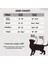 Kaçış Önleyici Gezdirme Tasması ve Küçük Irk Köpek Gezdirme Tasması (M, Boom!) 2
