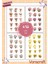 4'lü Lale Sticker Set Ajanda Bullet Journal Set A032 1