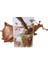 Forever Lite Ultr Chocolate 2