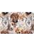 Sevimli Tasarımlı Mikrofiber Banyo Paspası, Kaymaz Taban, Makinede Yıkanabilir (346_BPSM, 2'li Takım 40X60_50X80) 2