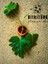 Beton Saksıda Monstera 70_ 80 cm 3