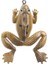 FO100 10 Adet Thunder Frog Yemi FO100 (Gri Siyah)Gri (Yurt Dışından) 3