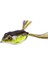Biyonik Yem Yemi 5.0cm/9gçok Renkli (Yurt Dışından) 1