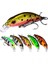 5.3cm 4.6g Batan Minnow Yem Proberos DW577 8003 Hookçok Renkli (Yurt Dışından) 2